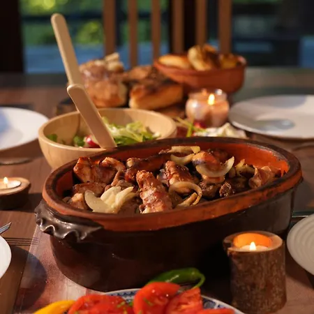 Mladenovic Kuca 度假居 科帕奥尼克