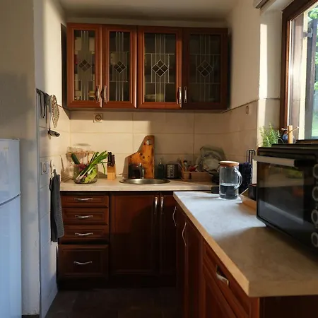 Mladenovic Kuca Kopaonik