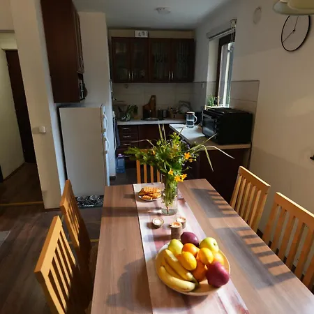 Mladenovic Kuca * 科帕奥尼克