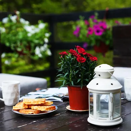 Mladenovic Kuca 科帕奥尼克