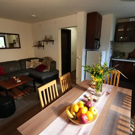 Mladenovic Kuca Case de vacanță