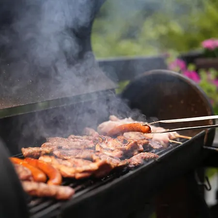 Mladenovic Kuca Hébergement de vacances *